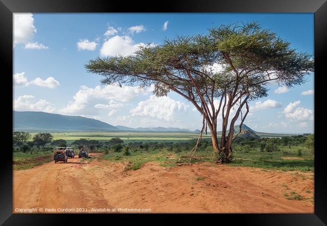 Safari in the savannah Framed Print by Paolo Cordoni