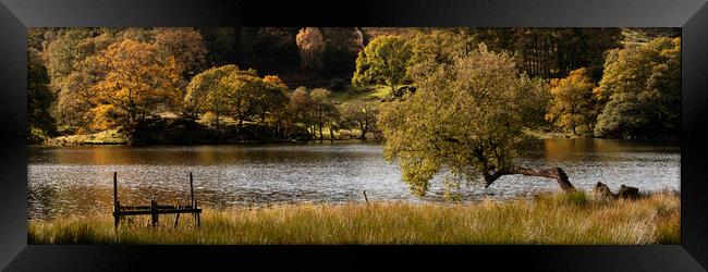 Loughrigg Tarn in Autumn Lake District Framed Print by Sonny Ryse
