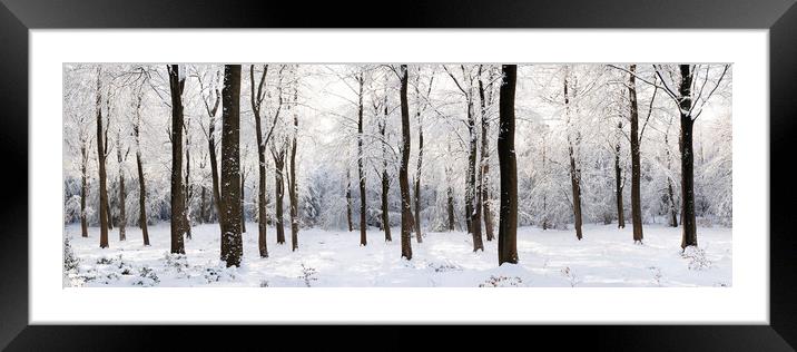 English woodland covered in snow North Yorkshire Framed Mounted Print by Sonny Ryse