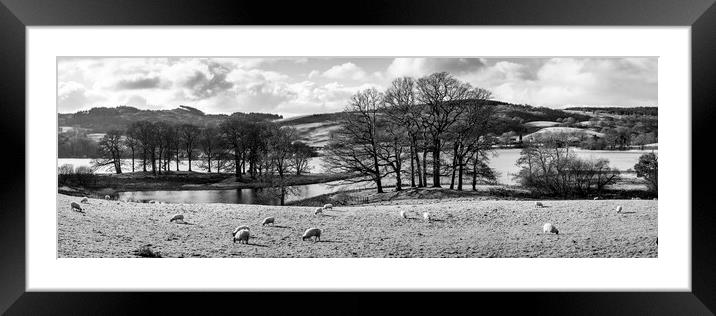 Esthwaite Water black and white Lake District Framed Mounted Print by Sonny Ryse