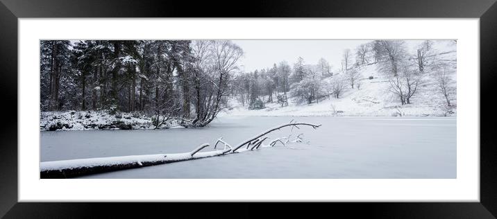 Frozen Tarn Hows Covered in Snow Lake District Framed Mounted Print by Sonny Ryse