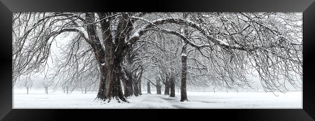 The stray snow_DSC1397-Pano Framed Print by Sonny Ryse