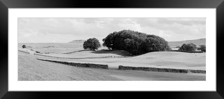 Yorkshire Dales Wensleydale Fields black and white Framed Mounted Print by Sonny Ryse