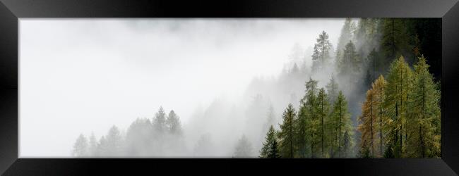 Misty alpine forest italian alps Framed Print by Sonny Ryse