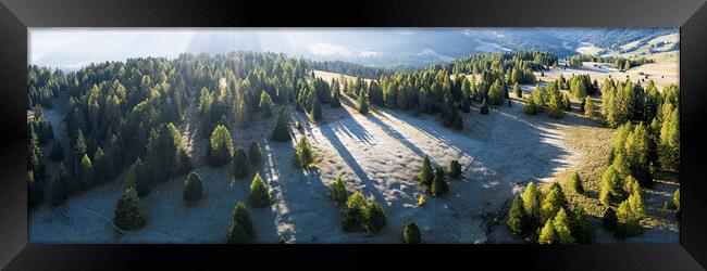 Seiser Alm trees drone DJI_0677-Pano-Edit Framed Print by Sonny Ryse