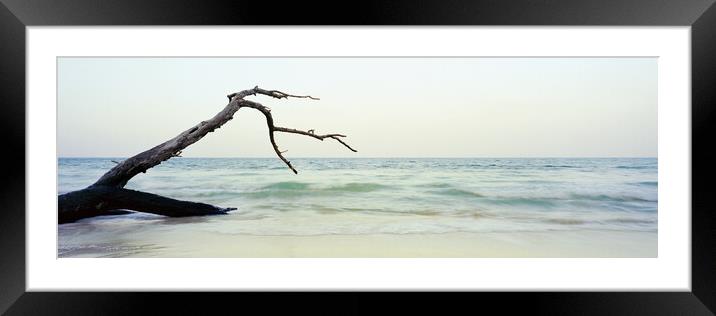 Havelock Island Beach Andamans Framed Mounted Print by Sonny Ryse