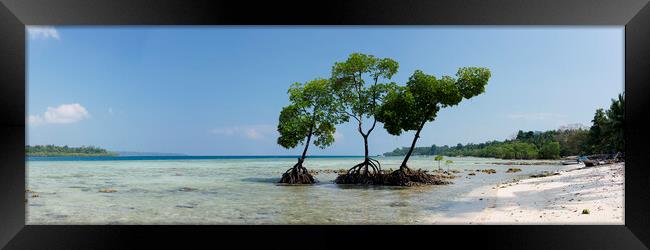 Havelock Island Mangroves Andamans 2 Framed Print by Sonny Ryse