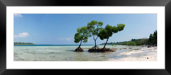 Havelock Island Mangroves Andamans 2 Framed Mounted Print by Sonny Ryse