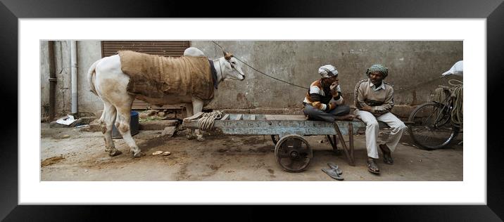 Old Delhi Street scene and cow india Framed Mounted Print by Sonny Ryse