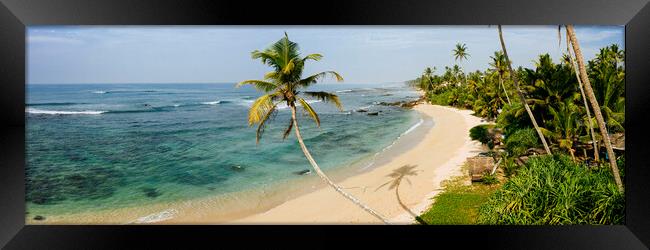 Sri Lanka beach and palm trees Framed Print by Sonny Ryse