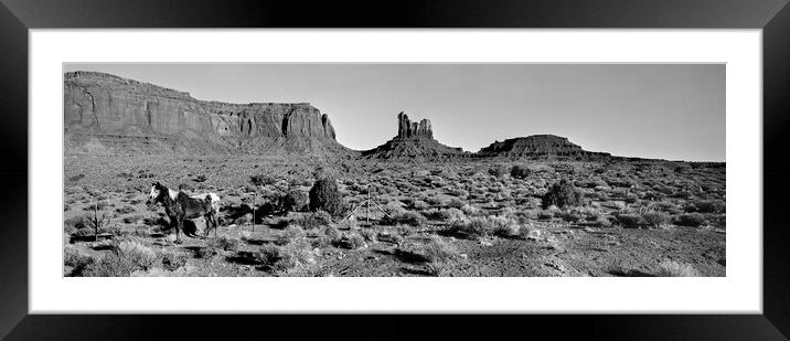 Monument Valley Horse Black and White Framed Mounted Print by Sonny Ryse