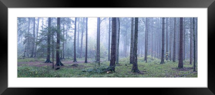 Misty Woodland in Germany Framed Mounted Print by Sonny Ryse