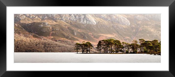 Pine trees on Loch MMaree in Scotland Framed Mounted Print by Sonny Ryse