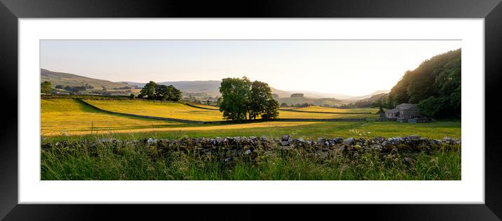Wensleydale Fields Yorkshire Dales.jpg Framed Mounted Print by Sonny Ryse