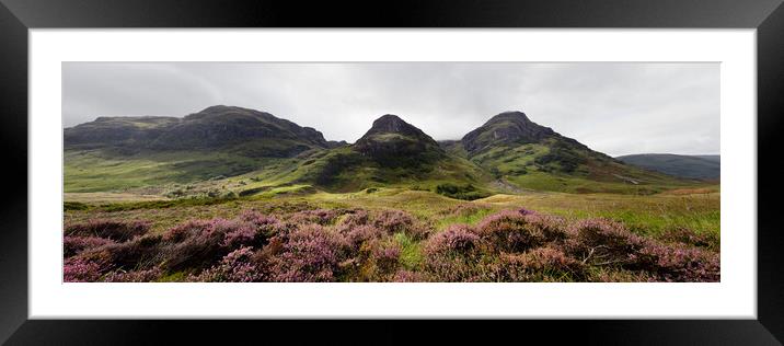 Three sisters mountains and Heather Glencoe Scottish Highlands Framed Mounted Print by Sonny Ryse