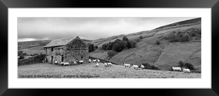 Swaledale Yorkshire dales far and sheep black and white Framed Mounted Print by Sonny Ryse
