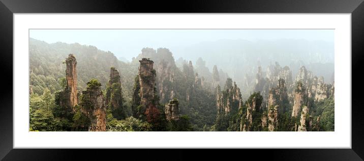 Zhangjiajie National Park Wulingyuan mountains forest Framed Mounted Print by Sonny Ryse