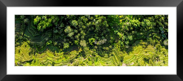 Tegallalang Rice Terrace aerial bali indonesia Framed Mounted Print by Sonny Ryse