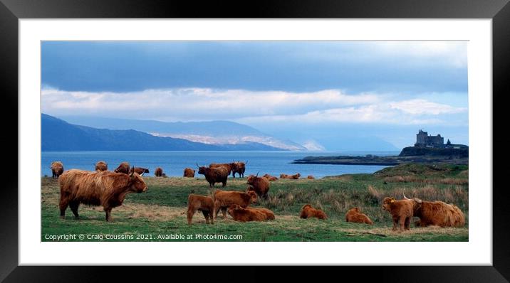 Highland Cows at Duart Castle, Mull, Scotland Framed Mounted Print by Wall Art by Craig Cusins
