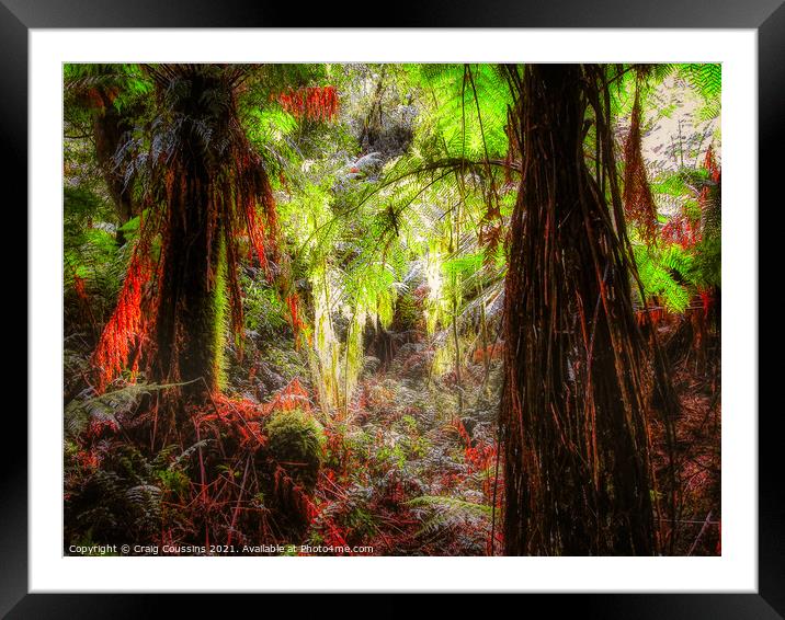Rain Forest landscape Framed Mounted Print by Wall Art by Craig Cusins