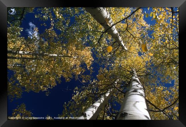 Falling Leaves Framed Print by Wall Art by Craig Cusins