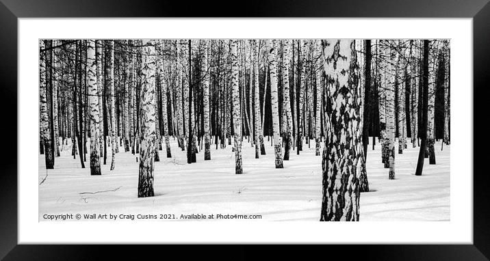 Russian Winter Birch Forest Framed Mounted Print by Wall Art by Craig Cusins
