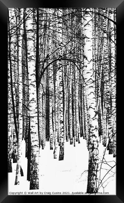 Winter Forest Framed Print by Wall Art by Craig Cusins