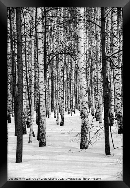 Russian Winter Forest Framed Print by Wall Art by Craig Cusins