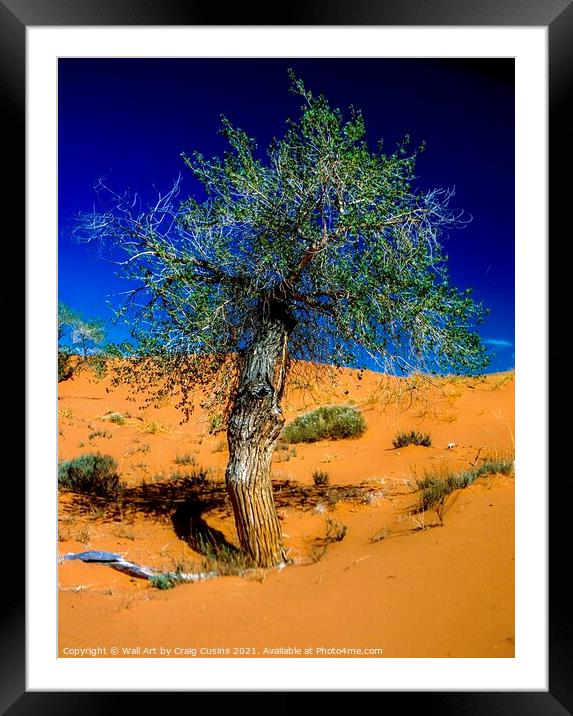 Lone Tree in the Desert Framed Mounted Print by Wall Art by Craig Cusins