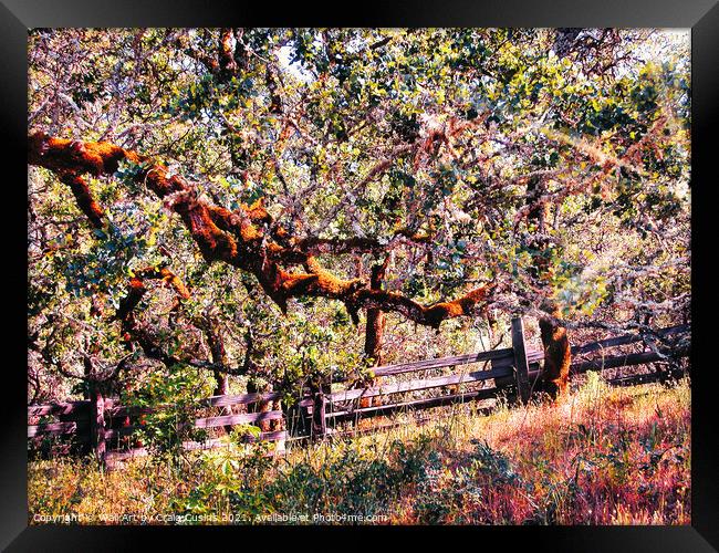 Springtime Monet Framed Print by Wall Art by Craig Cusins