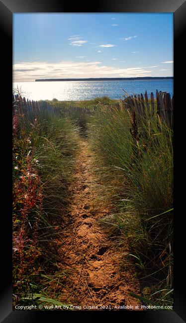 The Path to The Beach Framed Print by Wall Art by Craig Cusins