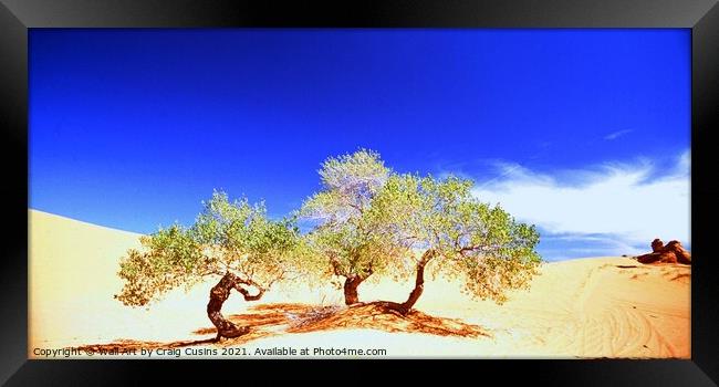 Cottonwood Trees surviving in the High Red Desert, Utah.  To survive at all costs? Sometimes your own environment is hostile but you need to find a way to come through. Framed Print by Wall Art by Craig Cusins