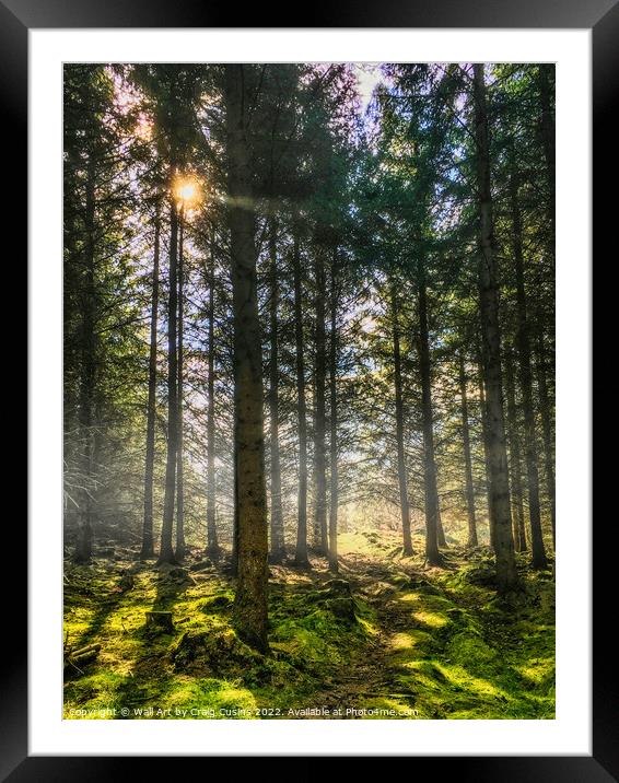 Misty Forest Glade Framed Mounted Print by Wall Art by Craig Cusins