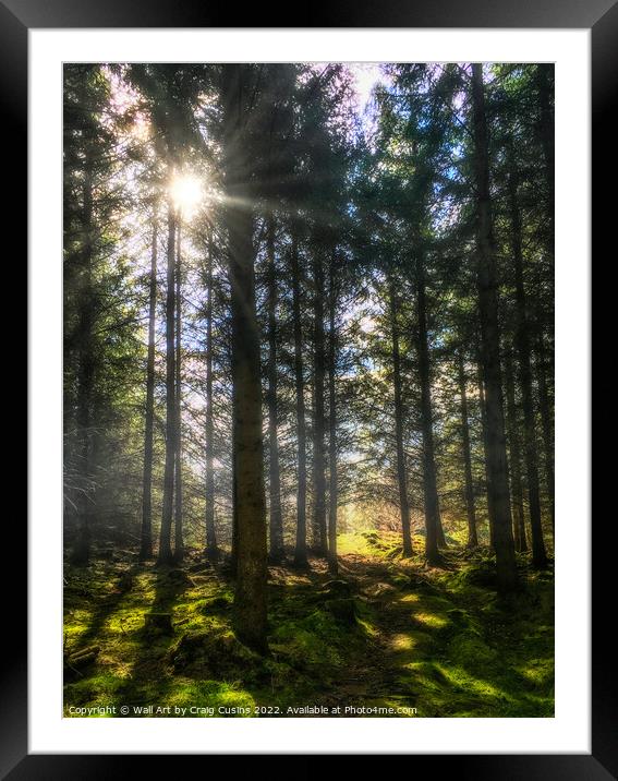 Mysterious Forest Glade path Framed Mounted Print by Wall Art by Craig Cusins