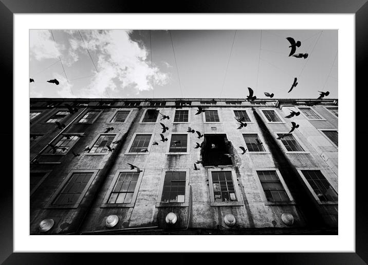 Birds over a LX Factory - Lisbon - Portugal Framed Mounted Print by Joao Carlos E. Filho