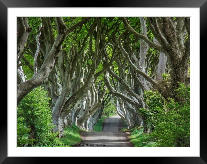 The Dark Hedges, Antrim, Northern Ireland. Framed Mounted Print by kenneth Dougherty
