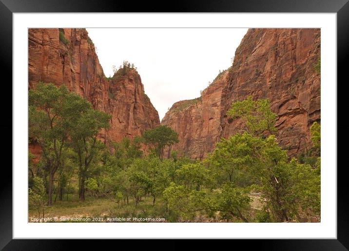 Canyon Zion National Park Framed Mounted Print by Sam Robinson