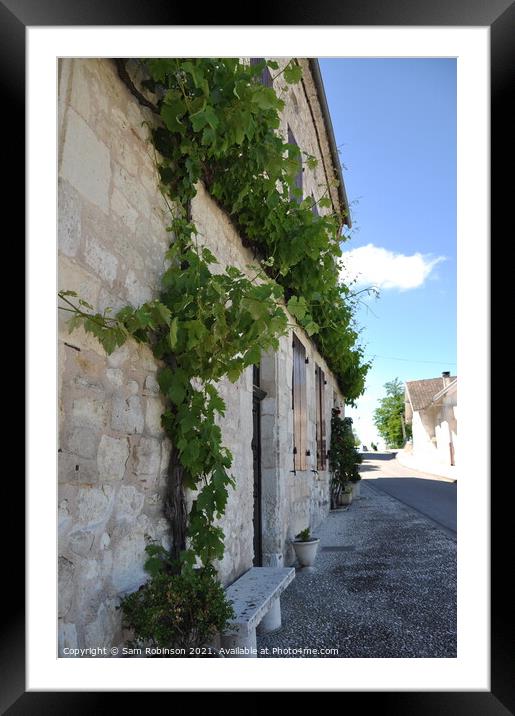 Vine covered building, France Framed Mounted Print by Sam Robinson