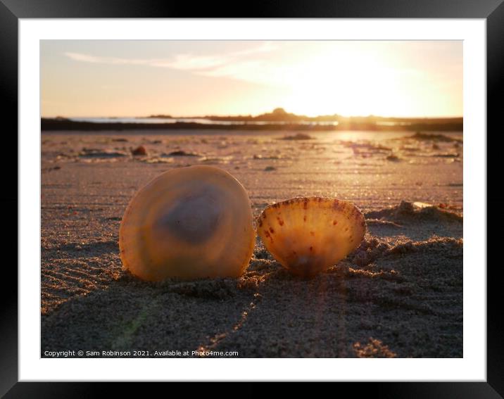 Sunset Shells Framed Mounted Print by Sam Robinson