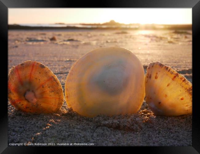 Sunset on Shells Framed Print by Sam Robinson