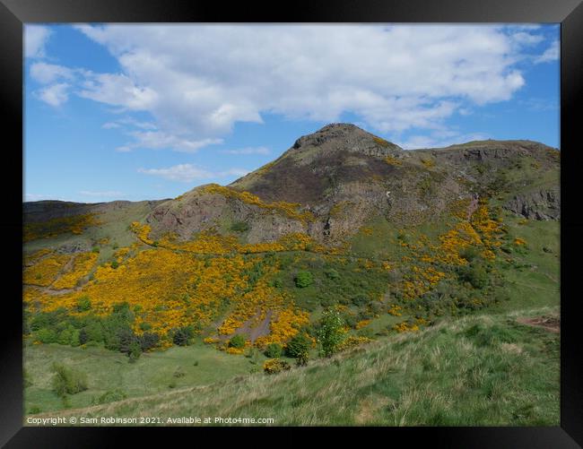 Arthur's Seat, Edinburgh Framed Print by Sam Robinson