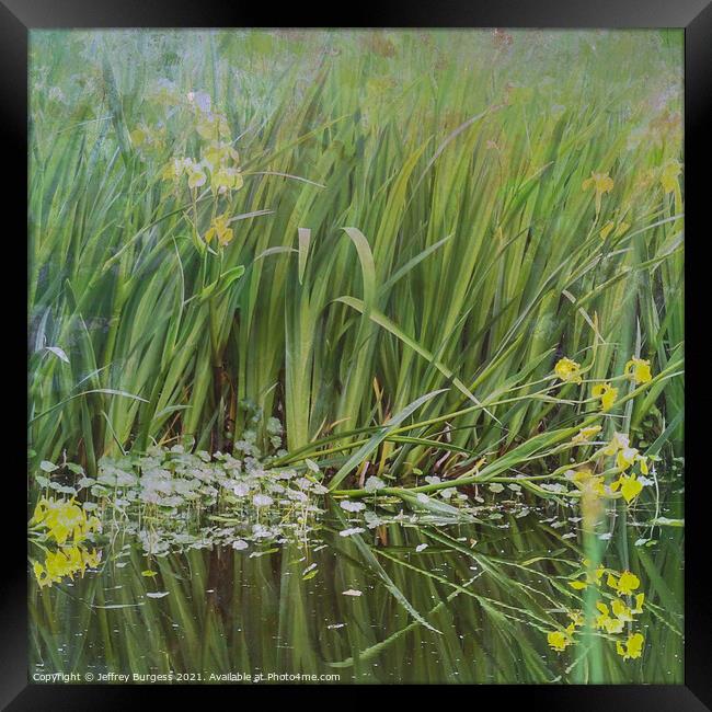 The edge of a pond Framed Print by Jeffrey Burgess