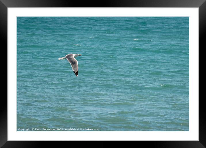 Flying Low Framed Mounted Print by Fanis Zerzelides