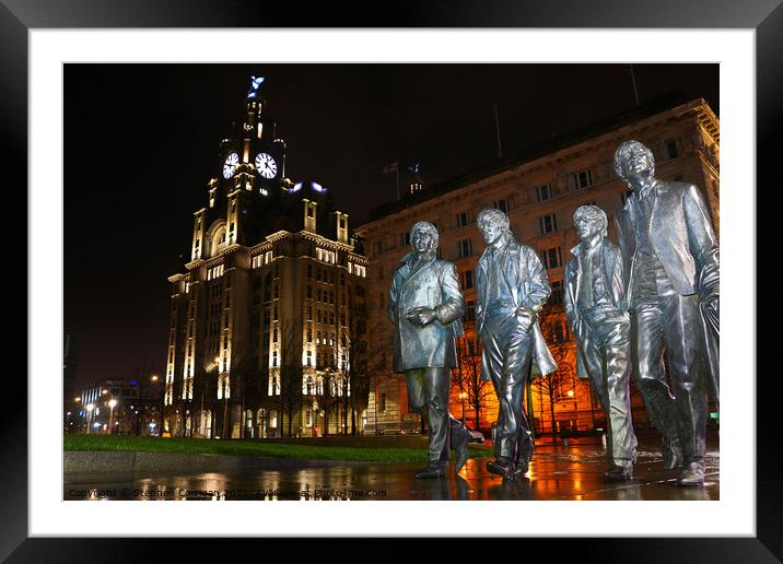 Royal Liver buildings  Framed Mounted Print by Stephen Carrigan