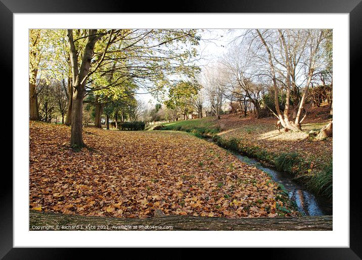 Battleton Brook, Evesham, in Autumn Framed Mounted Print by Richard J. Kyte