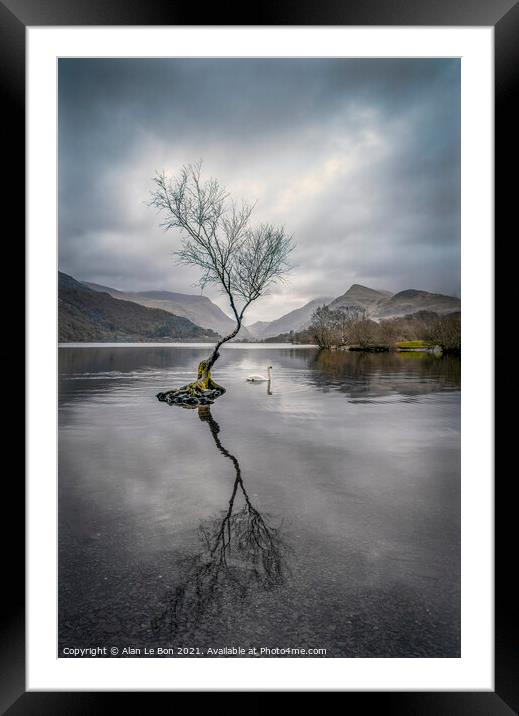 Tranquil Reflections Framed Mounted Print by Alan Le Bon