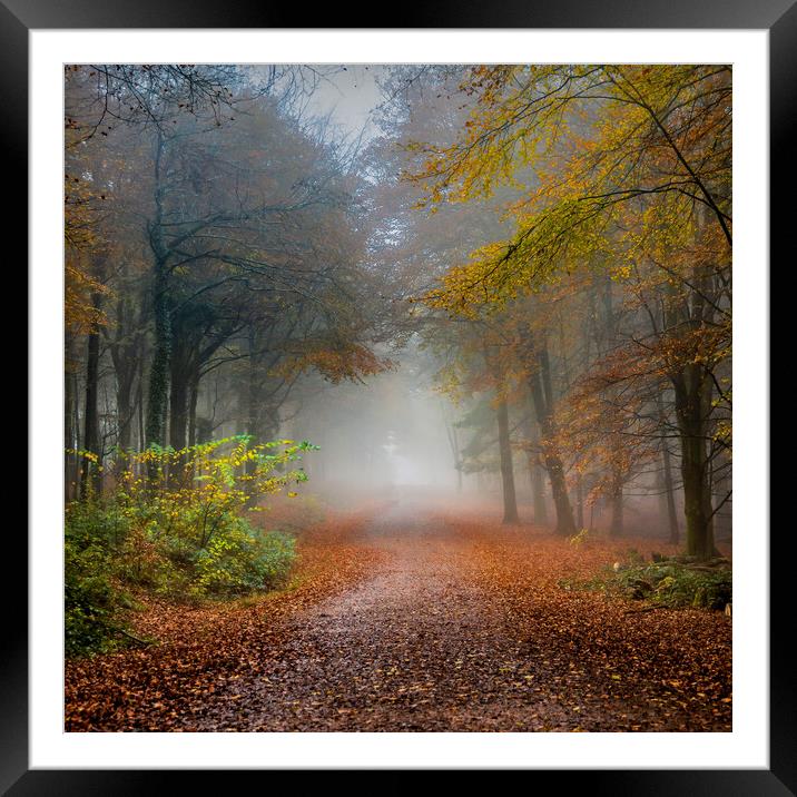 Early Morning Fog and Autumn Leaves Framed Mounted Print by Alan Le Bon