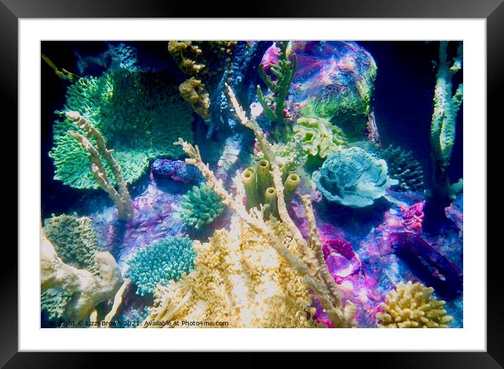 Under the Sea Framed Mounted Print by Lizzi Brown