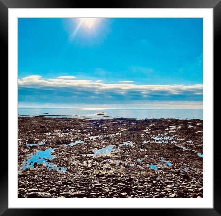 The sun does shine on the East Coast of Scotland! Framed Mounted Print by Lizzi Brown