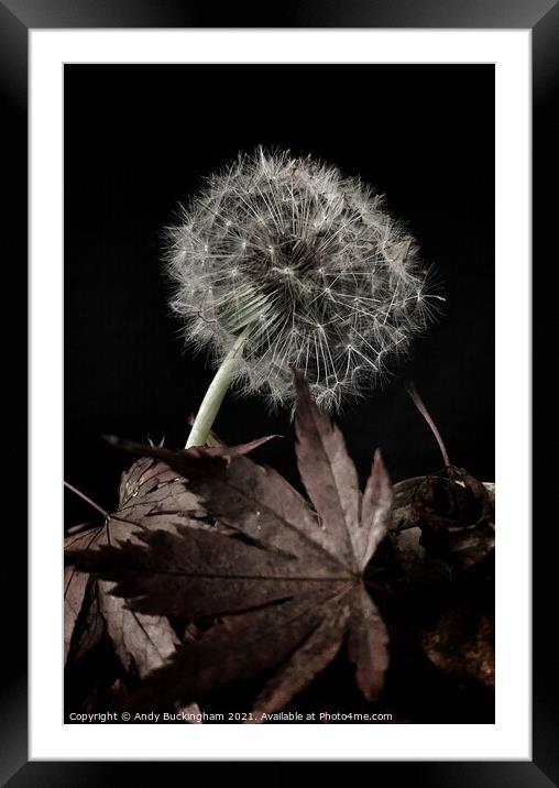 Autumn Framed Mounted Print by Andy Buckingham